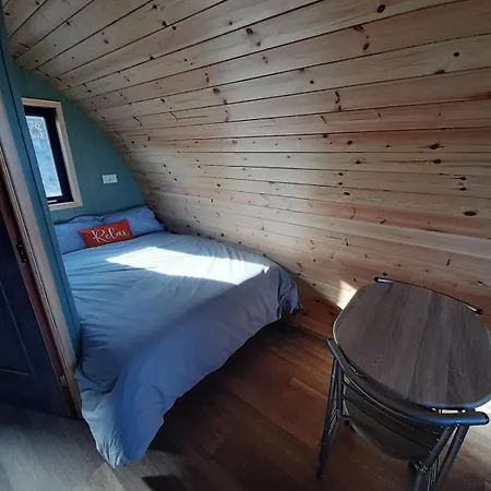 公寓 Seaview Wild Atlantic Pod *